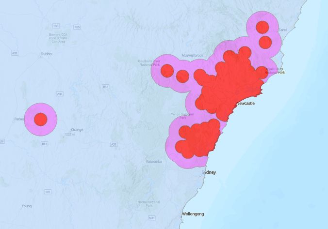 New discovery threatens success of Australian varroa eradication campa ...